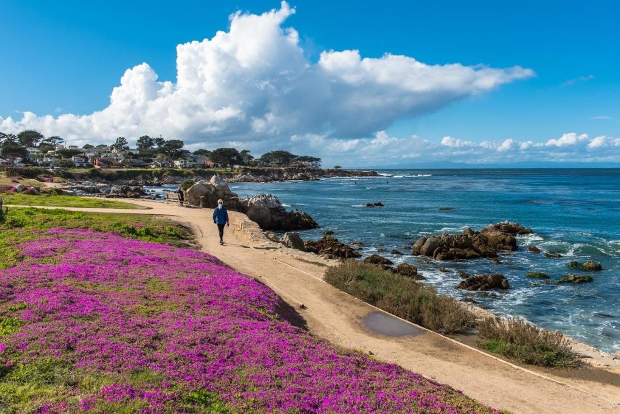 Carmel-by-the-Sea 3707 Pacific'S Edge Sanctuary Home מראה חיצוני תמונה